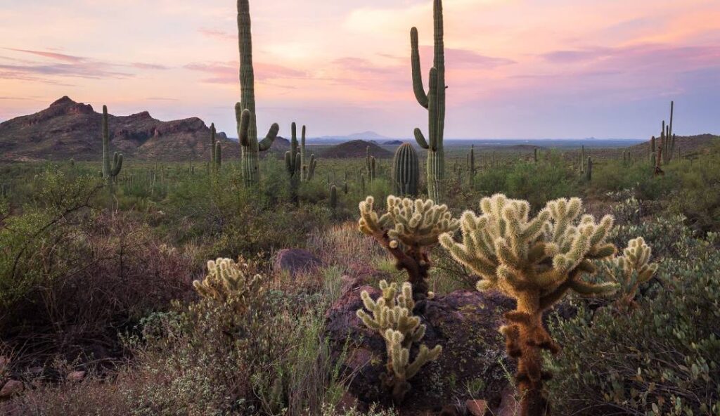 SanTan, Arizona Scottsdale, AZ Orthopedic Spine Surgery